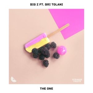 دانلود آهنگ جدید Big Z به نام The One (feat. Bri Tolani)